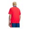 Under Armour 96 Terrace Country Trikot Rot F713 - rot