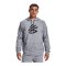 Under Armour Curry Pullover Hoody Silber F011 - silber