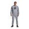 Under Armour Curry Pullover Hoody Silber F011 - silber