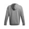Under Armour Curry Splash Hoody Grau F025 - grau