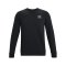 Under Armour Ess Fleece Sweatshirt Schwarz F001 - schwarz