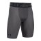 Under Armour HG 2.0 Long Short Grau F090 - grau