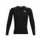 Under Armour Baselayer HG Comp Longsleeve T-Shirt Schwarz F001 - schwarz