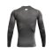 Under Armour Baselayer HG Comp Longsleeve T-Shirt Grau F090 - grau