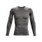 Under Armour Baselayer HG Comp Longsleeve T-Shirt Grau F090 - grau
