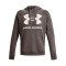 Under Armour Rival Big Logo Fleece Hoody F176 - braun