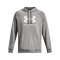 Under Armour Rival Fleece Logo Hoody Grau F025 - grau