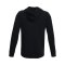Under Armour Kapuzenjacke Schwarz F001 - schwarz