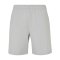 Urban Classic New Short Grau - grau