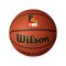 Wilson Evolution DBB Game Basketball Braun - orange