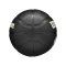 Wilson NBA TEAM TRIBUTE MINI GSW Indoorball Schwarz - schwarz