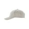 WRC Classic Curved Cap Grau - grau