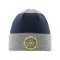 WRC College Striped Beanie Grau - grau