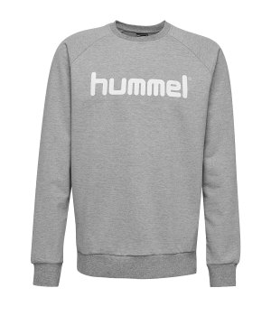 10124773-hummel-cotton-logo-sweatshirt-kids-grau-f2006-203516-fussball-teamsport-textil-sweatshirts.png
