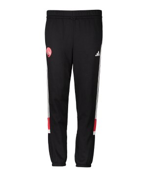 adidas-1-fc-nuernberg-trainingshose-kids-schwarz-6fcnjc7485-fan-shop_front.png