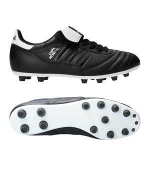 copa mundial eisenstollen