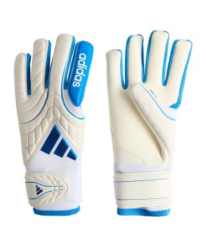 adidas-copa-pro-torwarthandschuhe-weiss-ke9726-equipment_front.png