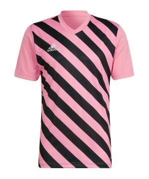 adidas-entrada-22-gfx-trikot-rosa-schwarz-hc2633-teamsport_front.png