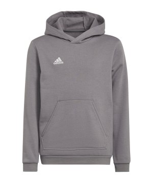 adidas-entrada-22-hoody-kids-grau-h57515-teamsport_front.png