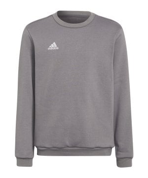 adidas-entrada-22-sweatshirt-kids-grau-h57477-teamsport_front.png