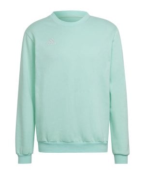adidas-entrada-22-sweatshirt-tuerkis-hc5047-teamsport_front.png