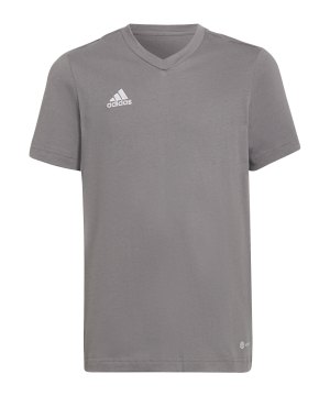 adidas-entrada-22-t-shirt-kids-grau-hc0444-teamsport_front.png