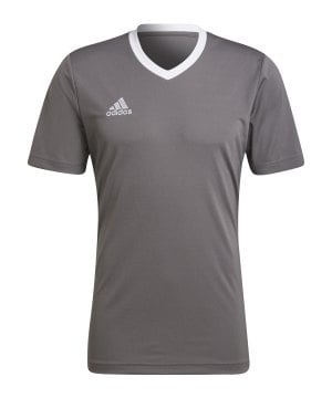 adidas-entrada-22-trikot-grau-weiss-he1574-teamsport_front.png
