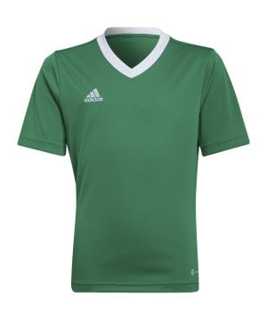 adidas-entrada-22-trikot-kids-gruen-hi2126-teamsport_front.png