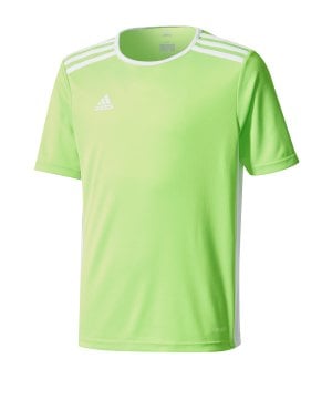 adidas-entrada-trikot-18-kids-hellgruen-weiss-fussball-teamsport-textil-trikots-ce9755.png