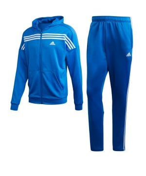 adidas anzug blau herren