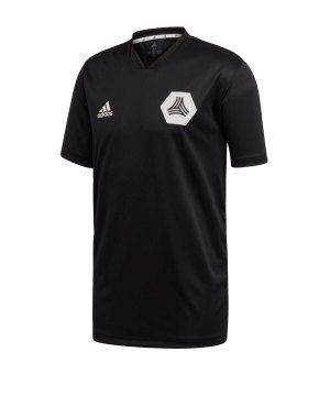 adidas-tango-trainingsshirt-kurzarm-schwarz-fussball-textilien-t-shirts-fm0805.png
