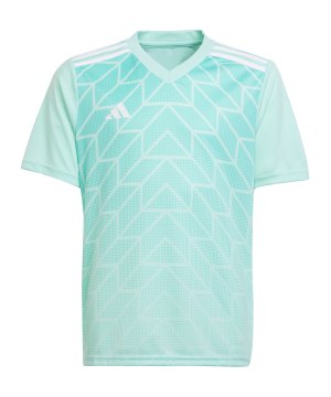 adidas-team-icon-23-trainingsshirt-tuerkis-ic1252-teamsport_front.png