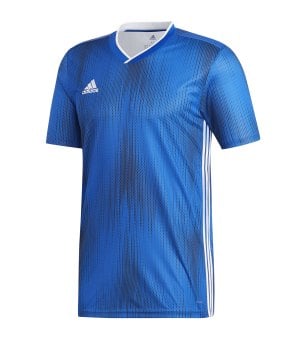adidas-tiro-19-trikot-kurzarm-blau-weiss-fussball-teamsport-textil-trikots-dp3532.png