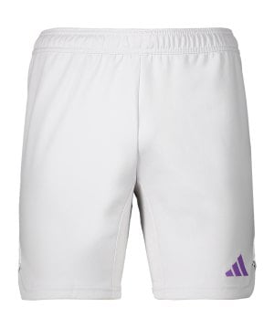 adidas-tiro-23-pro-torwartshort-grau-weiss-hl0011-teamsport_front.png