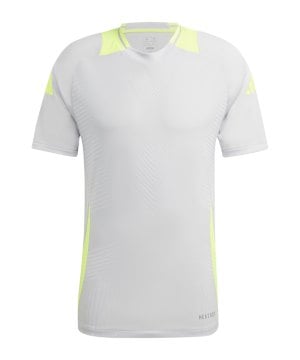 adidas-tiro-24-pro-training-trikot-grau-gelb-is1635-teamsport_front.png
