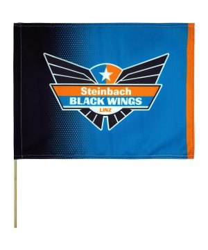 black-wings-classic-fahne-30x40-schwarz-113210c-fan-shop_front.png