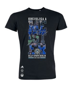 delay-sports-kreisliga-a-meister-t-shirt-schwarz-sttu169-fan-shop_front.png