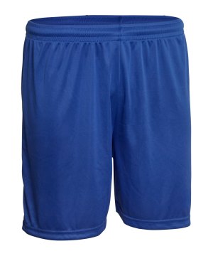 derbystar-basic-hose-kids-blau-f600-60171-fussballtextilien_front.png