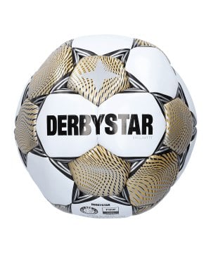 derbystar-fb-brillant-tt-v23-trainingsball-f189-1429-equipment_front.png