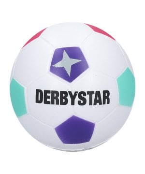 derbystar-minisoftball-v23-miniball-lila-f948-2052-equipment_front.png