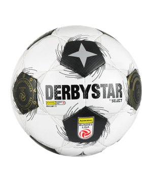 derbystar-oefbl-brillant-tt-v26-trainingsball-f026-1776-equipment_front.png