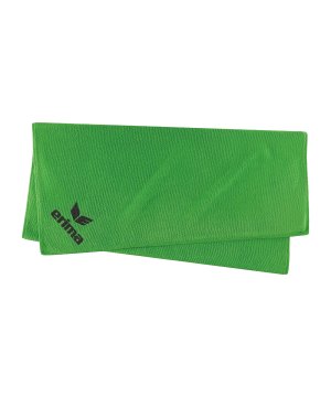 erima-liga-star-gr-l-handtuch-gruen-2242402-equipment_front.png