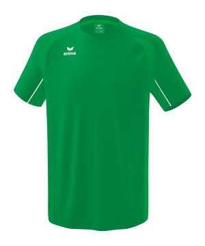 erima-liga-star-trainingsshirt-gruen-weiss-1082330-teamsport_front.png