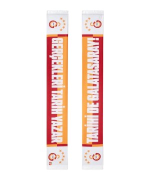 galatasaray-die-wahrheit-schreibt-geschichte-schal-u251447-fan-shop_front.png