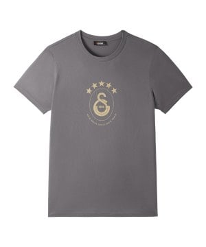 galatasaray-istanbul-5-stars-t-shirt-grau-f304-e251352-fan-shop_front.png