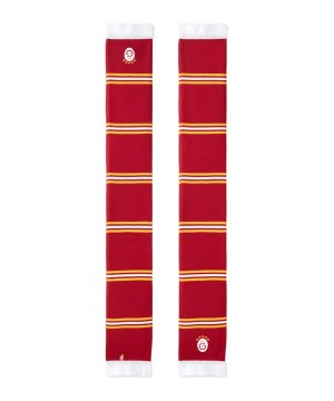 galatasaray-schal-rot-f101-u252337-equipment_front.png