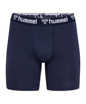 hummel-2-pack-underwear-shorts-blau-f7026-224039-lifestyle_front.png