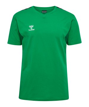 hummel-authentic-co-t-shirt-gruen-f6235-220007-indoor_front.png