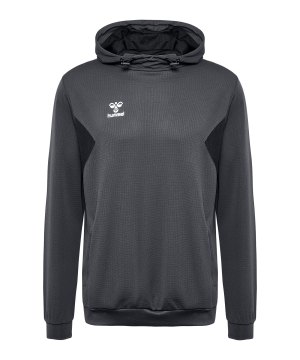 hummel-authentic-pl-hoody-grau-f1525-219976-indoor_front.png