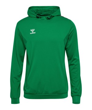 hummel-authentic-pl-hoody-gruen-f6235-219976-indoor_front.png